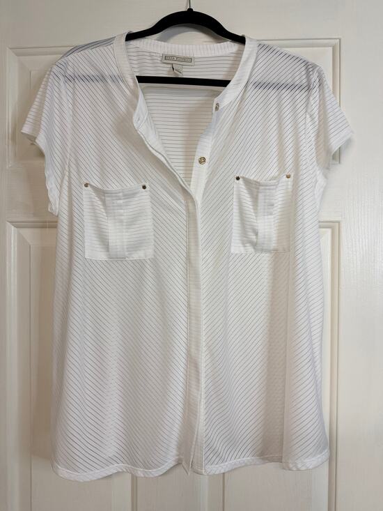 Dana Buchman Tops - Dana Buchman XXL White Sheer Striped Short Sleeve Blouse Gold Tone Pockets